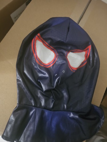 Into the spider - spider, verse