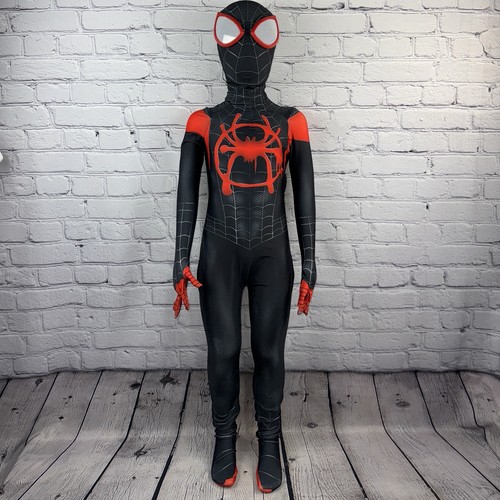 Into the spider verse miles - into,